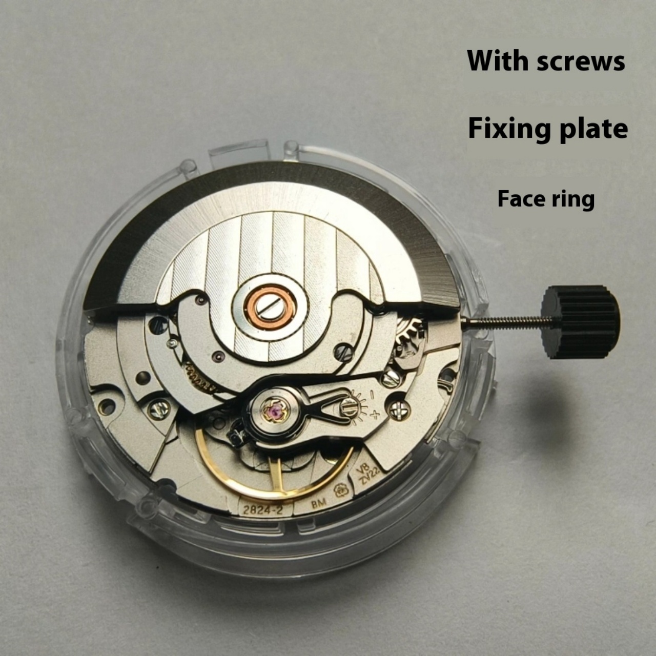 V8 Stainless Steel Eco-Friendl – Watch V8 Bewertung und Preis