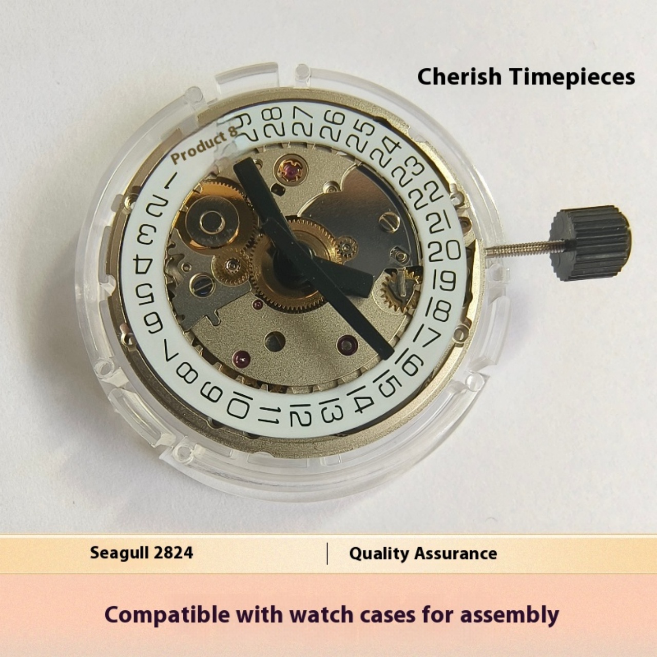 V8 Stainless Steel Eco-Friendl – Watch V8 Bewertung und Preis